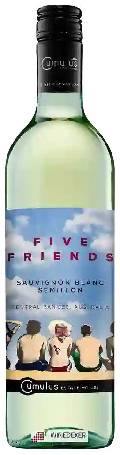 Winery Five Friends - Sauvignon Blanc - Sémillon