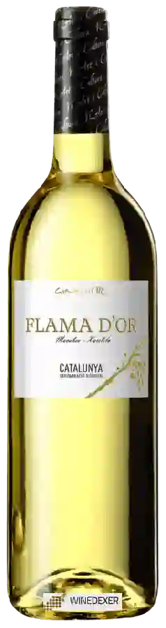 Winery Flama d'Or - Blanco Winery Flama d'Or - Blanco