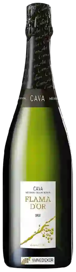 Winery Flama d'Or - Cava Brut Winery Flama d'Or - Cava Brut