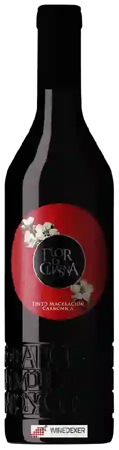 Winery Flor de Chasna - Tinto Maceración Carbónica