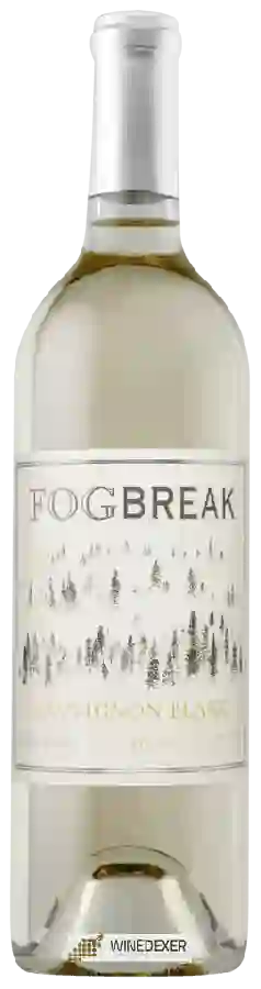 Winery Fog Break - Sauvignon Blanc Winery Fog Break - Sauvignon Blanc