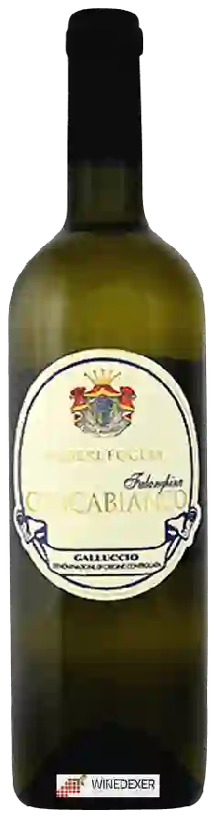 Winery Poderi Foglia - Concabianco Falanghina Winery Poderi Foglia - Concabianco Falanghina