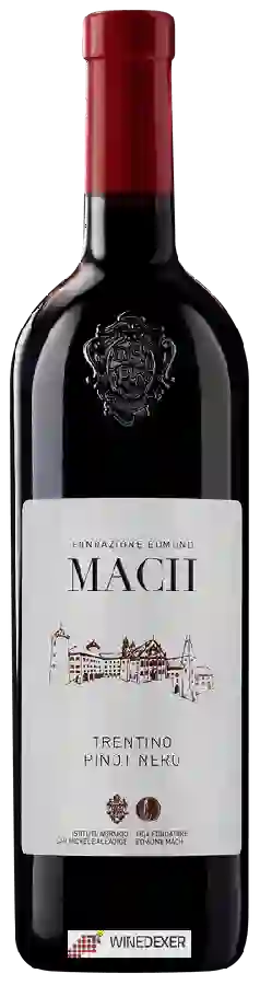 Winery Fondazione Edmund Mach - Pinot Nero Trentino