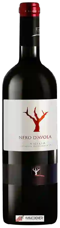 Winery Fondo Antico - Nero d’Avola