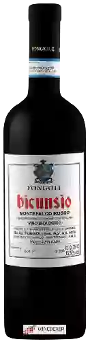Winery Fongoli - Bicunsio Montefalco Rosso