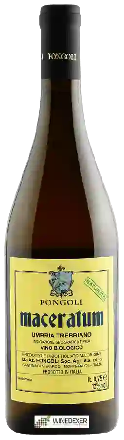 Winery Fongoli - Maceratum Trebbiano