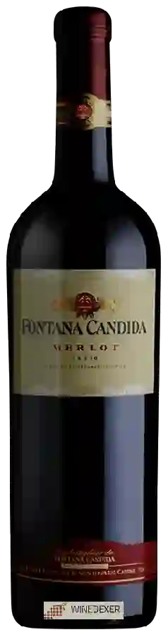 Winery Fontana Candida - Merlot Lazio Winery Fontana Candida - Merlot Lazio