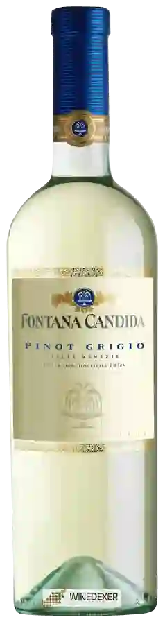Winery Fontana Candida - Pinot Grigio Delle Venezie Winery Fontana Candida - Pinot Grigio Delle Venezie
