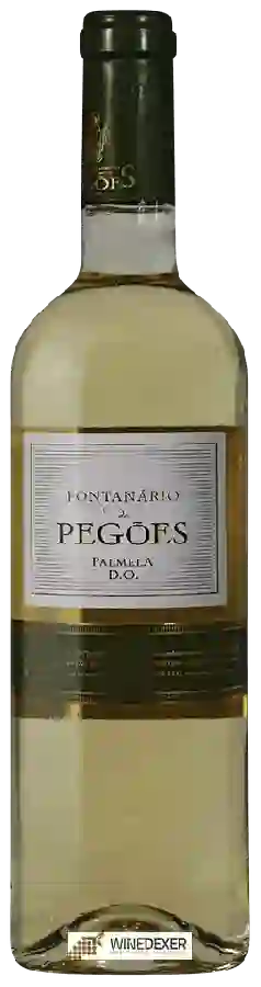 Winery Fontanário de Pegões - Palmela Branco Winery Fontanário de Pegões - Palmela Branco