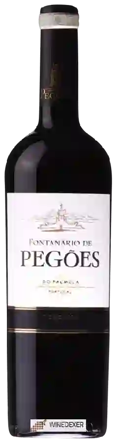 Winery Fontanário de Pegões - Palmela Reserva