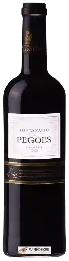 Winery Fontanário de Pegões - Palmela Tinto Winery Fontanário de Pegões - Palmela Tinto