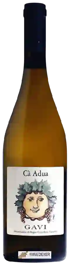 Winery Fontanassa - Cà Adua Gavi Winery Fontanassa - Cà Adua Gavi