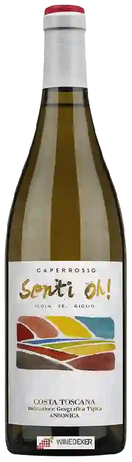 Winery Fontuccia - Senti Oh! Ansonica