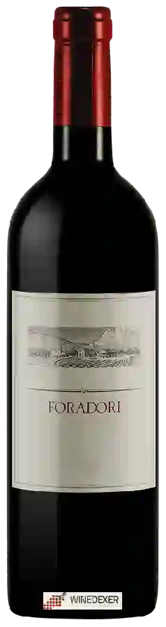 Winery Foradori - Foradori - Teroldego Winery Foradori - Foradori - Teroldego