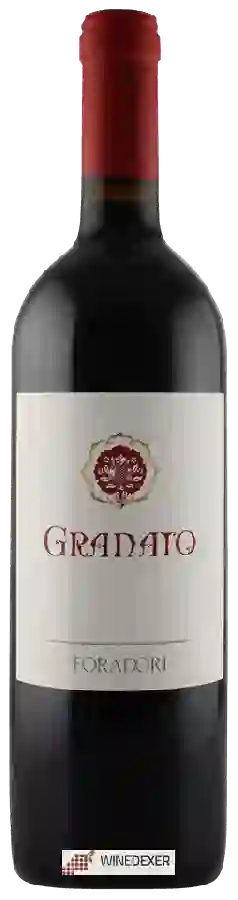 Winery Foradori - Granato Winery Foradori - Granato