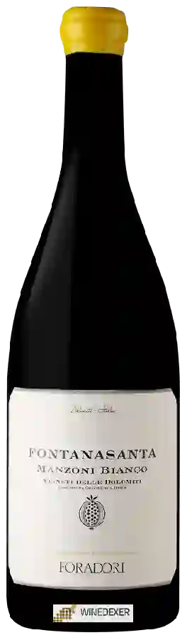 Winery Foradori - Manzoni Bianco Fontanasanta