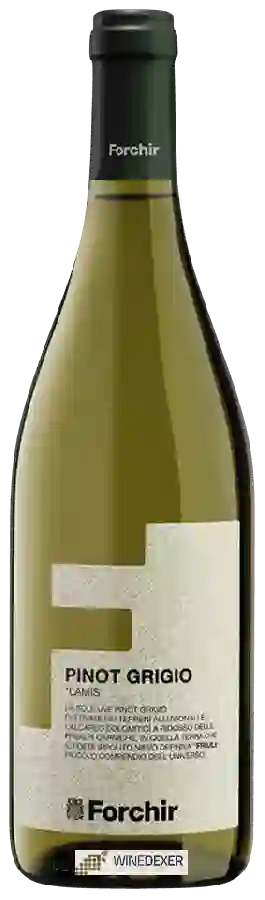 Winery Forchir - Lamis Pinot Grigio