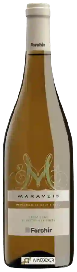Winery Forchir - Maraveis Meraviglia di Pinot Bianco
