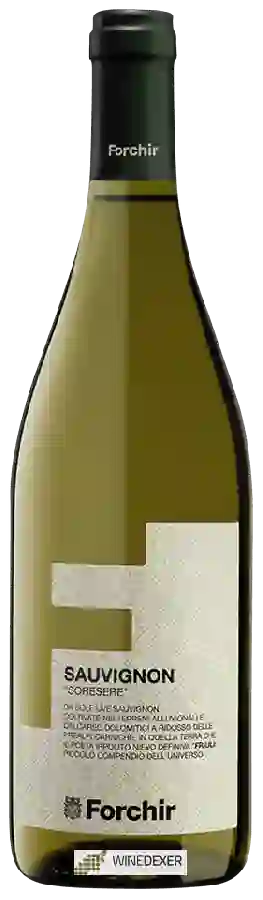 Winery Forchir - Soresere Sauvignon