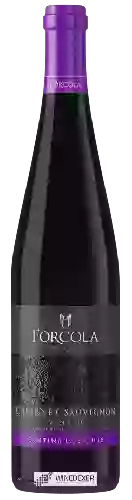 Winery Forcola - Cabernet Sauvignon