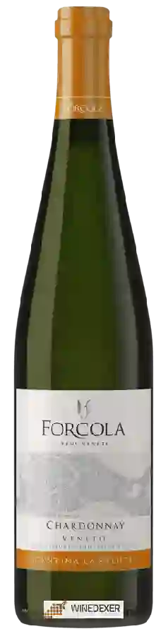 Winery Forcola - Chardonnay