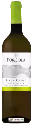 Winery Forcola - Pinot Bianco