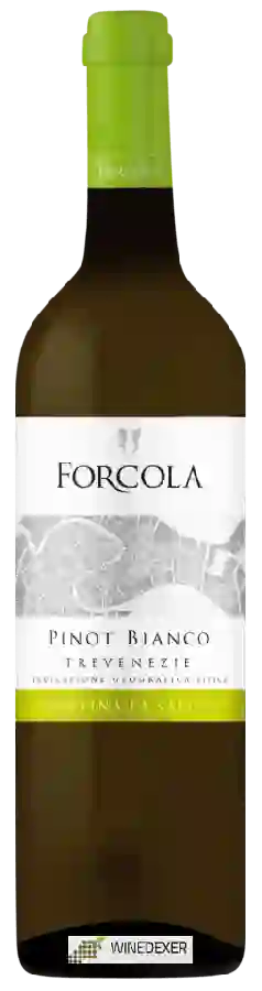 Winery Forcola - Pinot Bianco Winery Forcola - Pinot Bianco