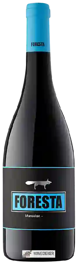 Winery Foresta - Marselan