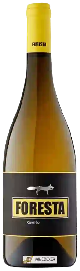 Winery Foresta - Xarel-lo