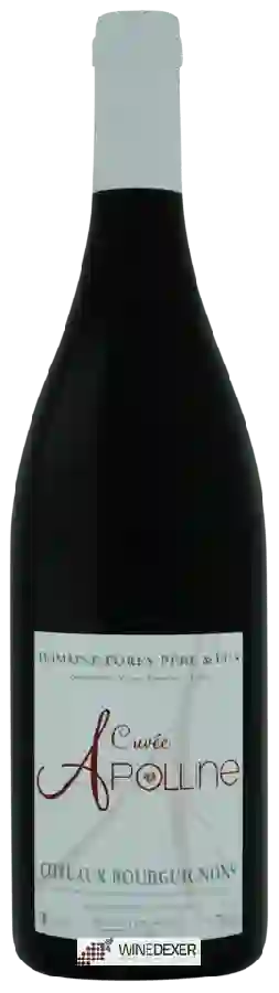 Domaine Forey Père & Fils - Cuvée Apolline Coteaux Bourguignons Domaine Forey Père & Fils - Cuvée Apolline Coteaux Bourguignons