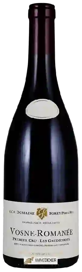 Domaine Forey Père & Fils - Les Gaudichots Vosne-Romanée 1er Cru