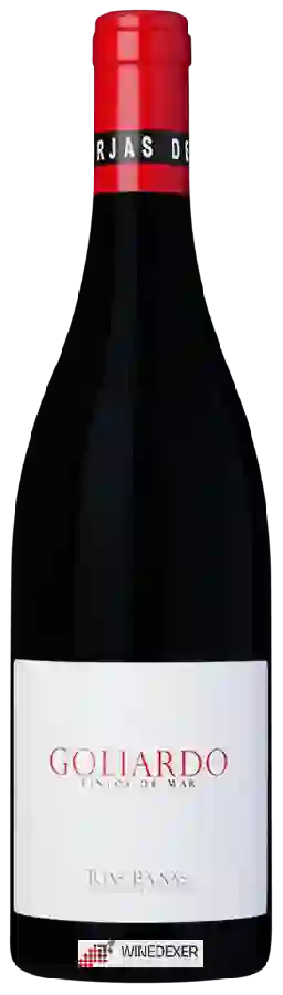 Winery Forjas del Salnés - Basti&oacuten de la Luna Tintos de Mar