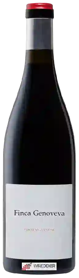 Winery Forjas del Salnés - Finca Genoveva Atl&aacutenticos