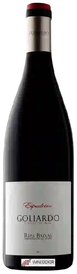 Winery Forjas del Salnés - Goliardo Espadeiro