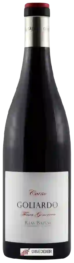 Winery Forjas del Salnés - Goliardo Finca Genoveva Caíño Winery Forjas del Salnés - Goliardo Finca Genoveva Caíño