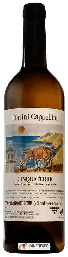 Winery Forlini Cappellini - Cinque Terre