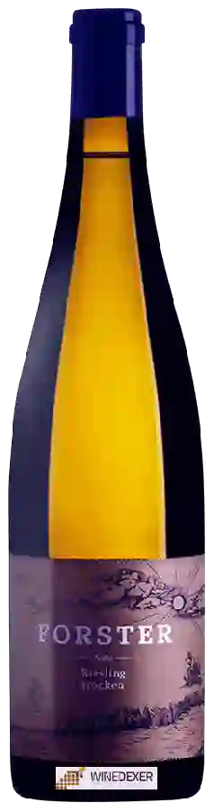 Winery Weingut Forster - Riesling Trocken Winery Weingut Forster - Riesling Trocken