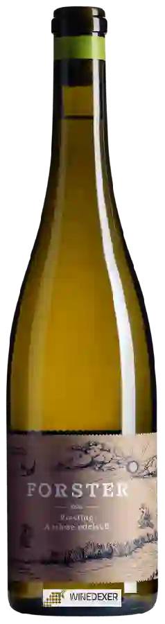 Winery Weingut Forster - Solaris Auslese Edelsüß Winery Weingut Forster - Solaris Auslese Edelsüß