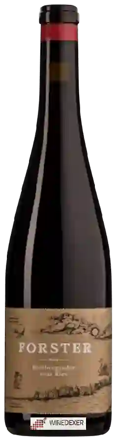 Winery Weingut Forster - Spätburgunder Vom Kies