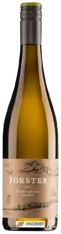Winery Weingut Forster - Weißburgunder Trocken