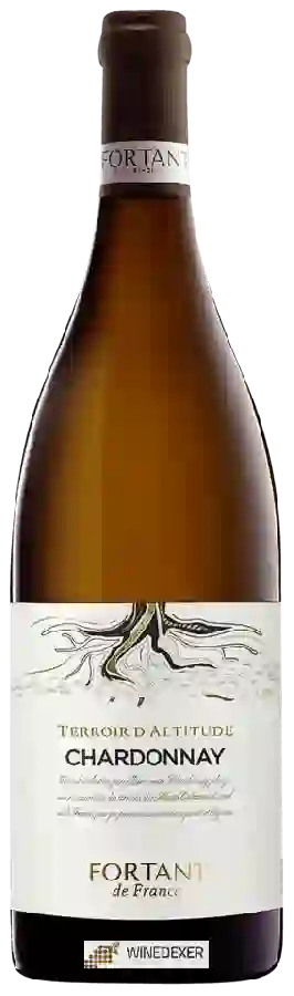 Winery Fortant - Terroir d'Altitude Chardonnay Winery Fortant - Terroir d'Altitude Chardonnay