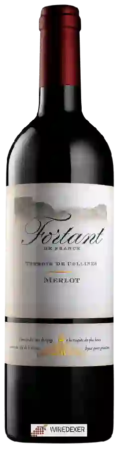 Winery Fortant - Terroir De Collines Merlot Winery Fortant - Terroir De Collines Merlot