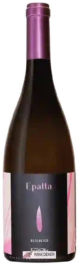 Winery Fortulla - Epatta Biologico Winery Fortulla - Epatta Biologico