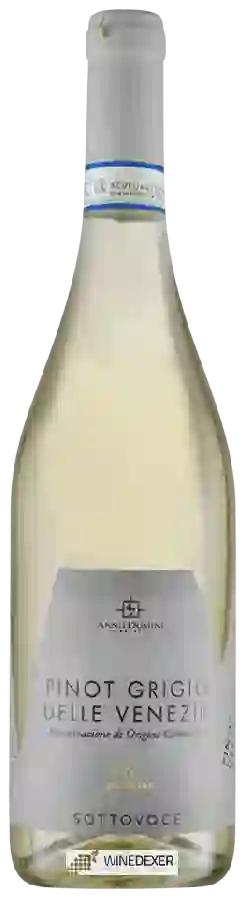 Winery 47 Anno Domini - Pinot Grigio