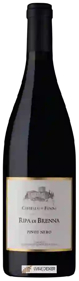 Winery Castello di Fosini - Ripa di Brenna Pinot Nero