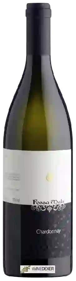 Winery Fossa Mala - Chardonnay Winery Fossa Mala - Chardonnay