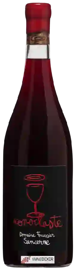 Domaine Fouassier - Iconoclaste Sancerre