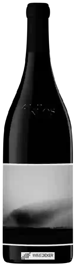 Winery 4 Kilos Vinícola - 4 Kilos