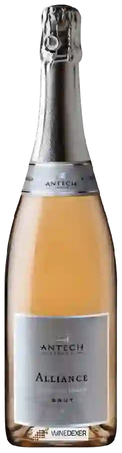 Winery Antech - Alliance Crémant de Limoux Brut Rosé Winery Antech - Alliance Crémant de Limoux Brut Rosé
