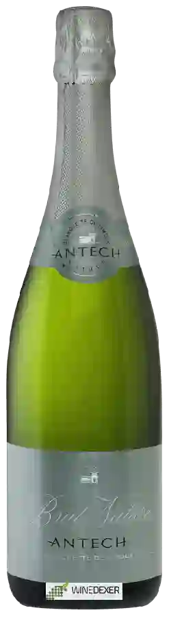 Winery Antech - Blanquette de Limoux Brut Nature